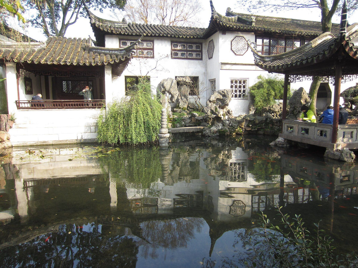 Suzhou Day Tour from Shanghai by High-Speed Rail: Lingering Garden & Tongli Ancient Town