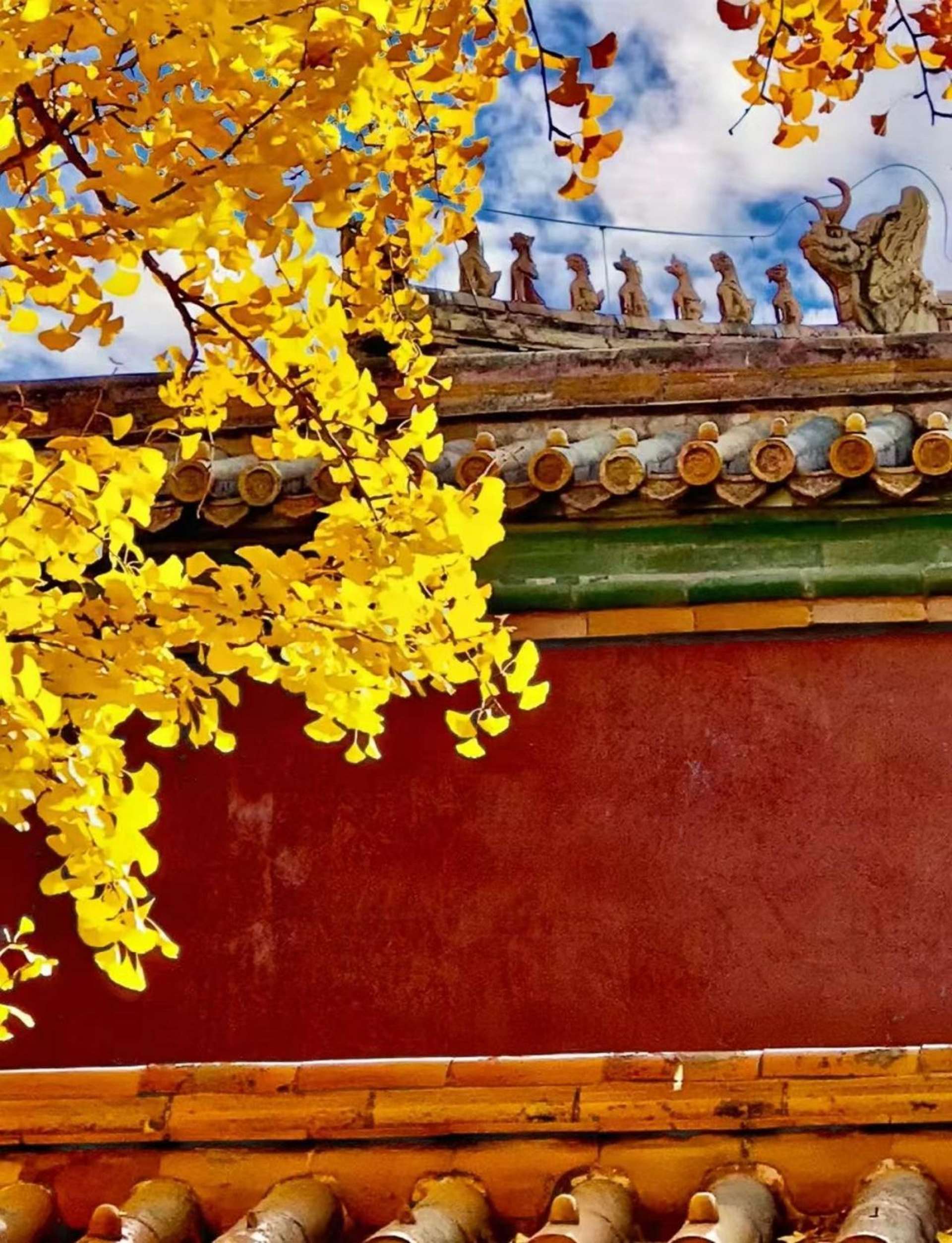 Beijing: Forbidden City Admission Ticket & 3-Hour English Guided Tour