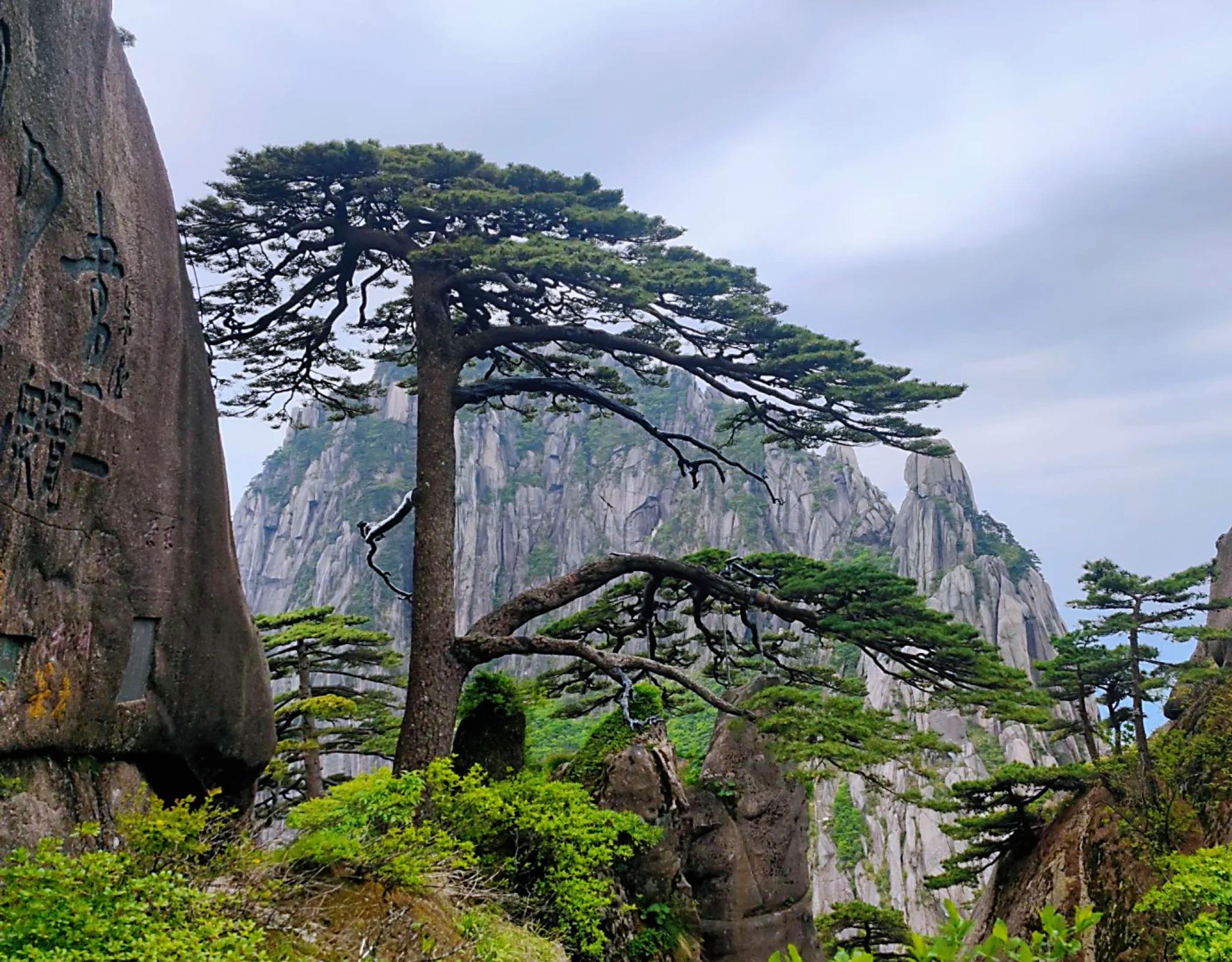 Huangshan Classic Day Tour - Private Tour