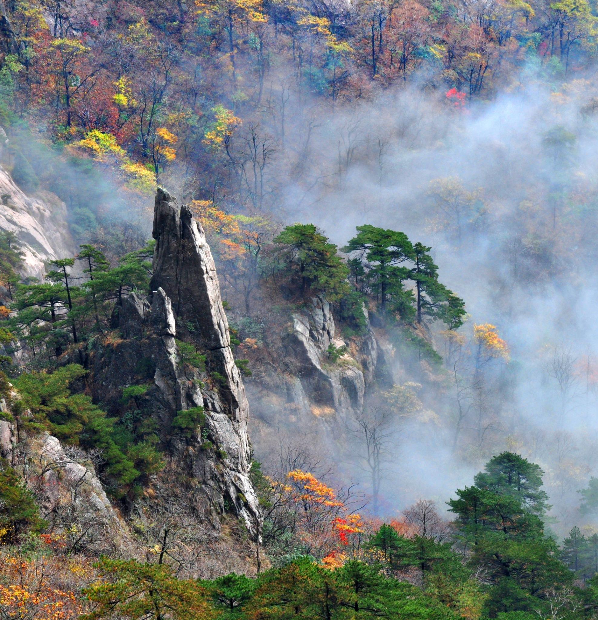 Huangshan Classic Day Tour - Private Tour
